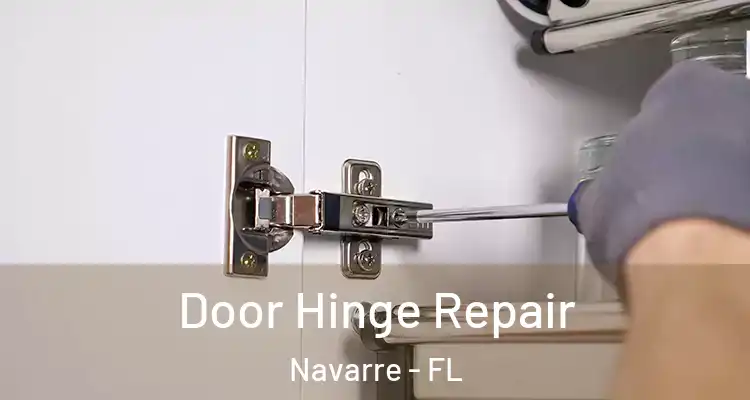  Door Hinge Repair Navarre - FL