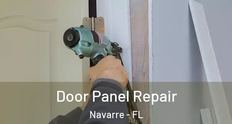  Door Panel Repair Navarre - FL