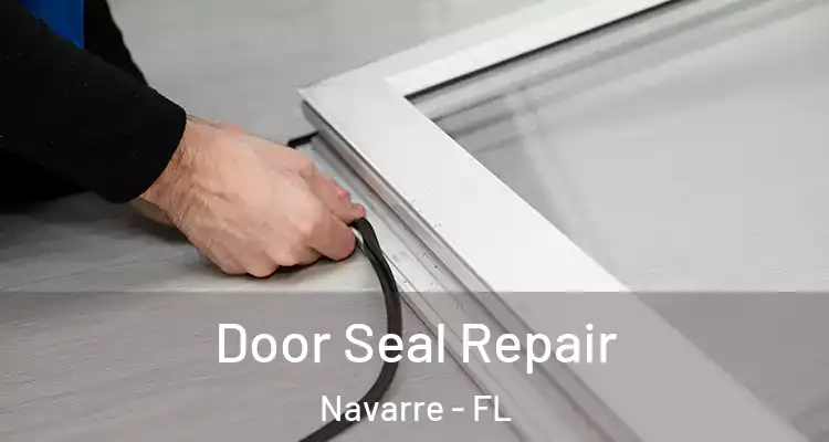  Door Seal Repair Navarre - FL
