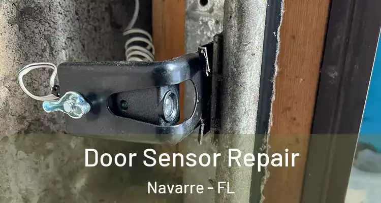  Door Sensor Repair Navarre - FL