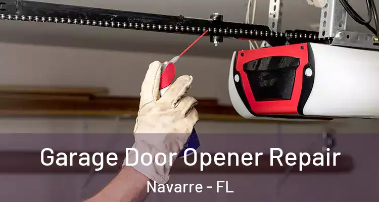  Garage Door Opener Repair Navarre - FL