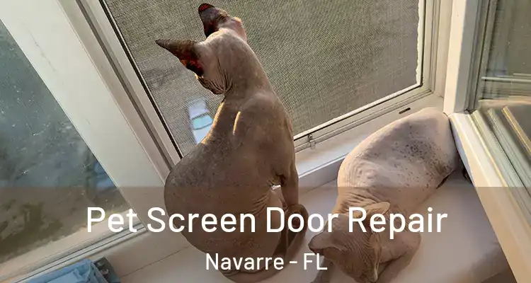  Pet Screen Door Repair Navarre - FL