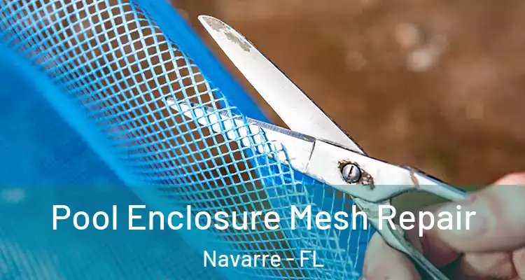  Pool Enclosure Mesh Repair Navarre - FL