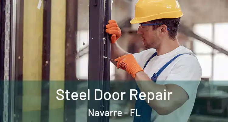  Steel Door Repair Navarre - FL